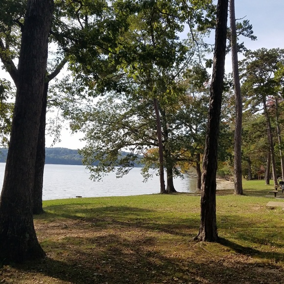 Meet your Posher, Annalea - Picture 1 of 1